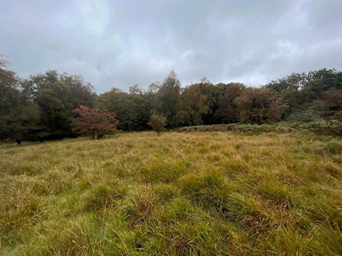 Land For Sale In Gwynfe, Llangadog, SA19