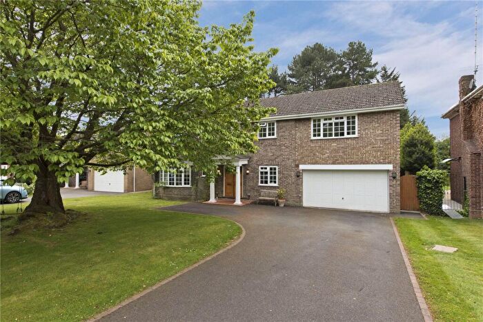 6 Bedroom Detached House To Rent In Pine Walk, Cobham, Surrey, KT11