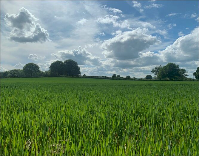 Detached House For Sale In Monkland, Leominster, HR6