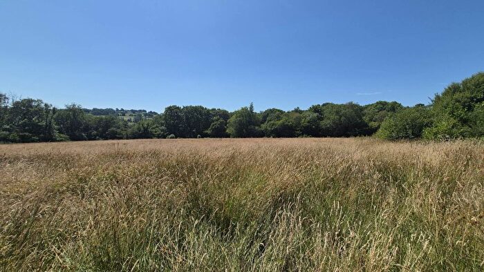 Land To Rent In Llangeitho, Tregaron, SY25