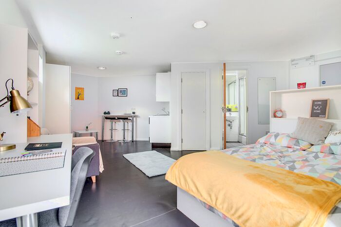 1 Bedroom Studio To Rent In 291 - 295 Corporation St, Birmingham 7Dp, United Kingdom, Birmingham B4