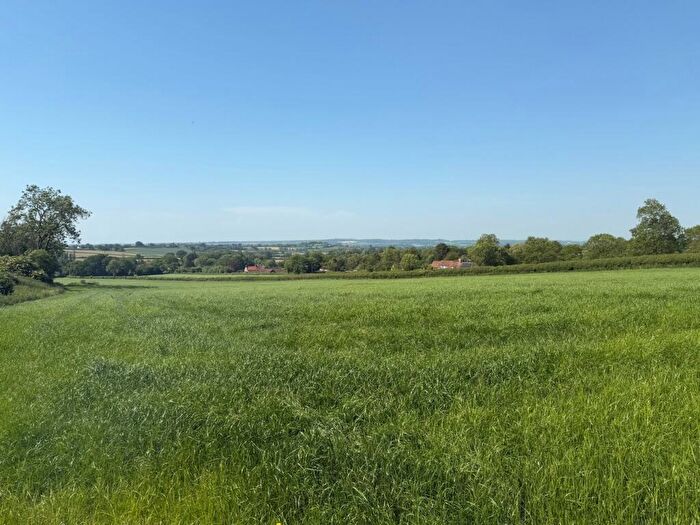 Farm Land For Sale In Withial, East Pennard, BA4