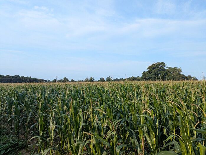 Land For Sale In Saxmundham, Suffolk, IP17