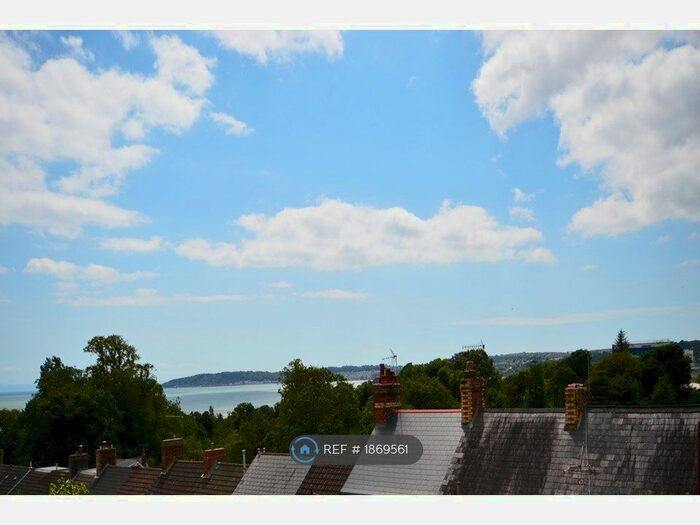 4 Bedroom Terraced House To Rent In Chesshyre Street, Brynmill, Swansea, SA2