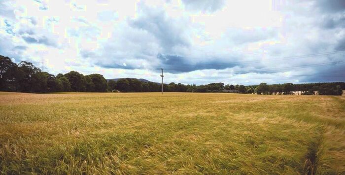 Land For Sale In Plot Whiteford, Inverurie, Aberdeenshire, AB51
