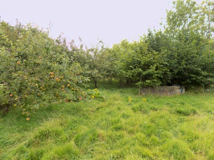 Land For Sale In Plaistow Green Road, Halstead CO9