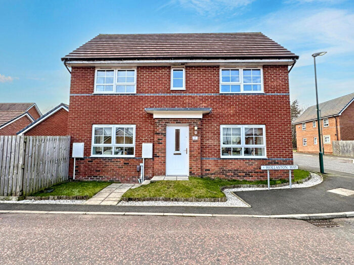 3 Bedroom Detached House For Sale In Wollaston Way, The Maples, Hebburn, Tyne And Wear, NE31