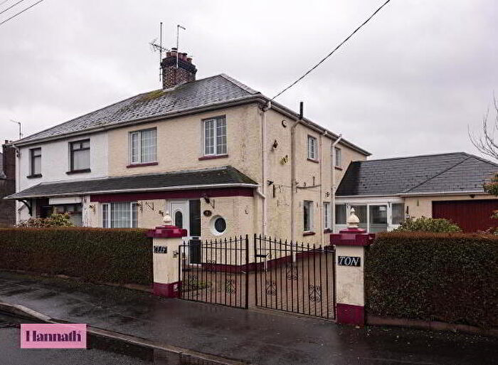 3 Bedroom Semi-Detached House For Sale In Connaught Park, Craigavon, BT62