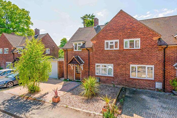 3 Bedroom Semi-Detached House To Rent In Palm Grove, Guildford, GU1