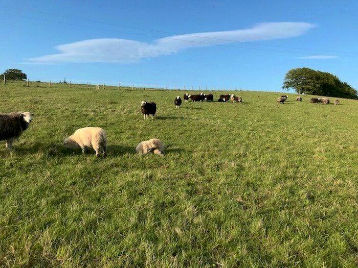 Land For Sale In Waterside, Kilmarnock, KA3