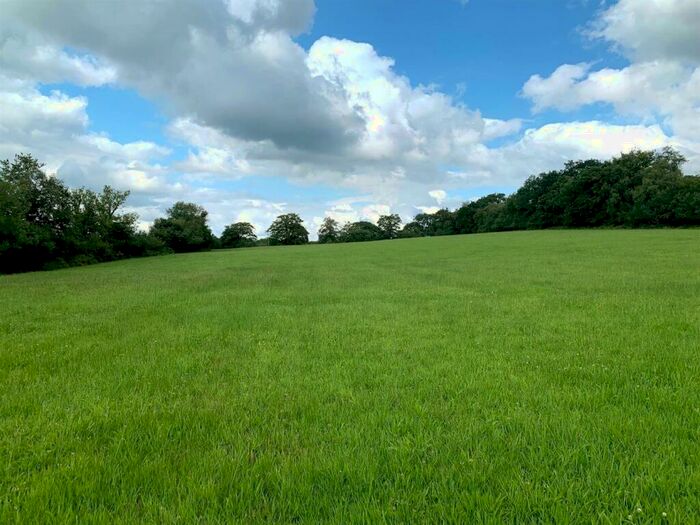 Land For Sale In Thorndon Cross, Okehampton, EX20