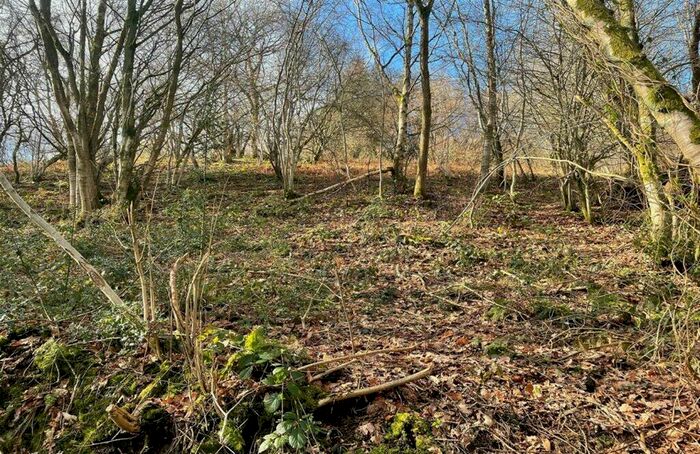 Land For Sale In Woodland Above Pen Draw'r Garth, Glyn Ceiriog, LL20