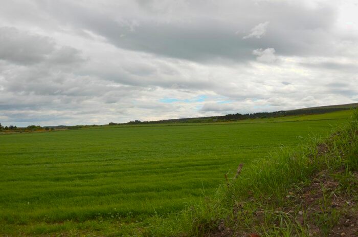 Land For Sale In Rashcrook, Birnie, Elgin, Moray, IV30