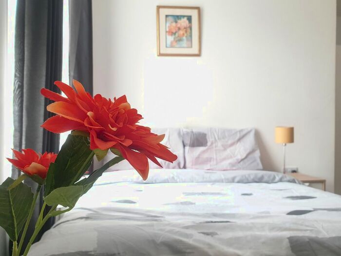 Studio To Rent In Brunswick Terrace, Wednesbury, WS10