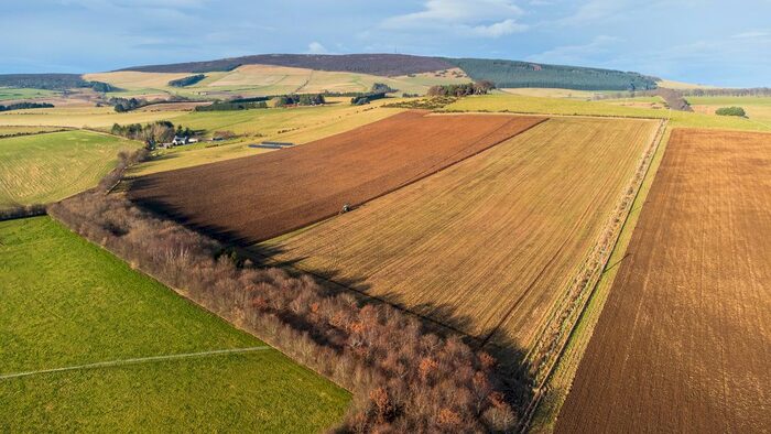 Land For Sale In Land At Coldwells Farm, Insch, AB52