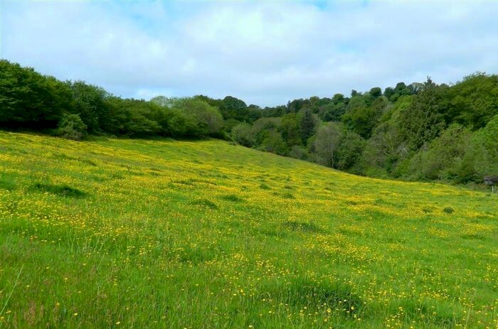 Land For Sale In Bridford, Exeter, EX6