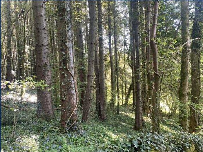 Property For Sale In Itton, Chepstow, Monmouthshire, NP16