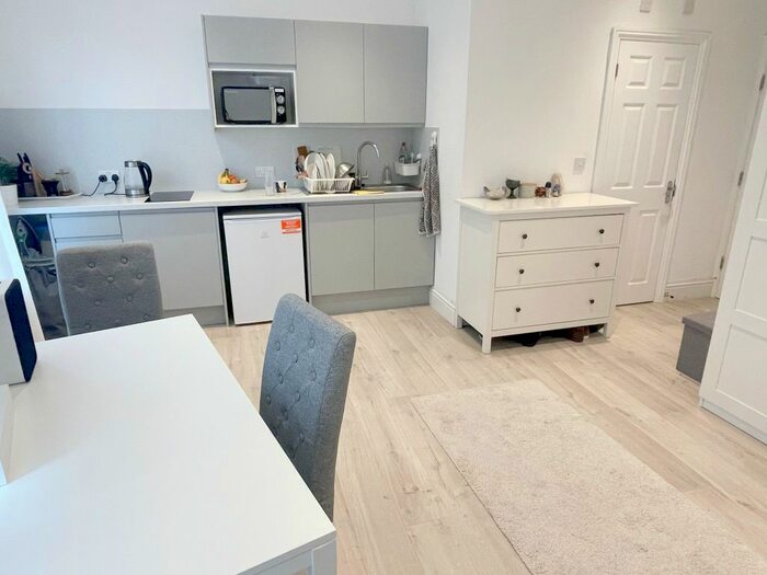 Studio To Rent In Lower Clapton Road, Hackney, E5 - Photo 3