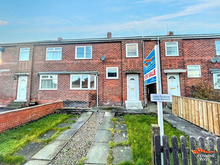 3 Bedroom Terraced House For Sale In Park Avenue, Haltwhistle, NE49