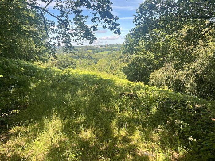 Land For Sale In Middlewood, North Hill, Launceston, PL15