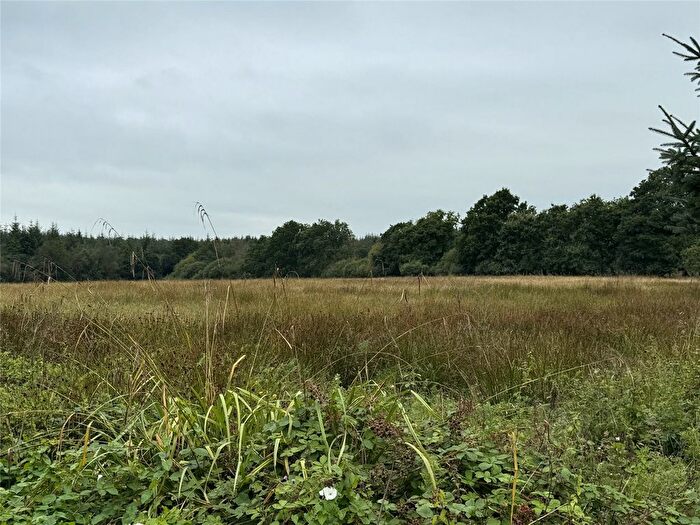 Land For Sale In Dunsland Cross, Brandis Corner, Holsworthy, EX22