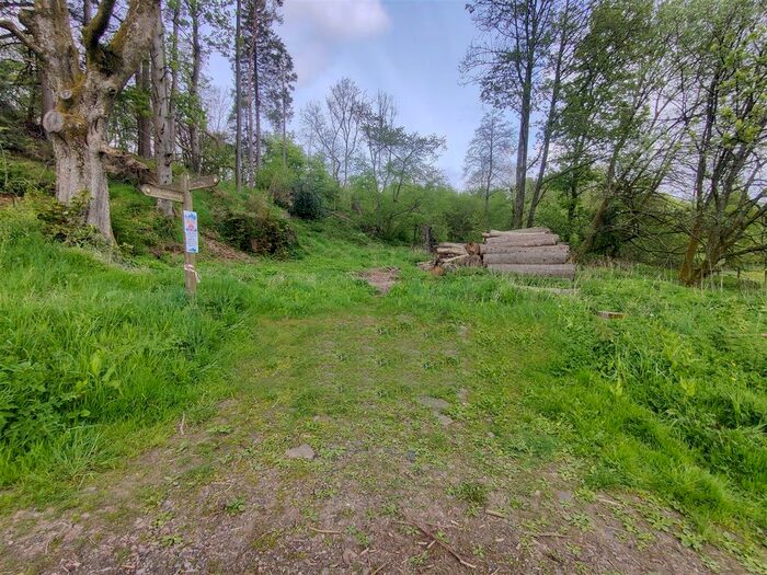 Land For Sale In Langholm Street, Newcastleton, TD9