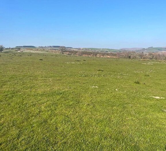 Land To Rent In Cefnbronllys Farm, Llanddewi, Llandrindod Wells, Powys, LD1