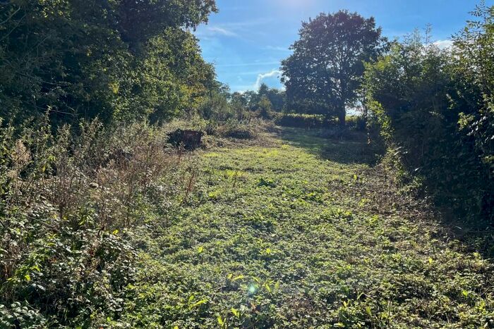 Land For Sale In Halwell, Totnes, TQ9