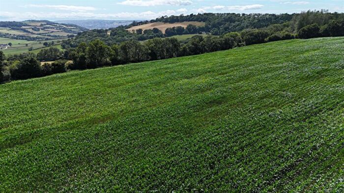 Land For Sale In Land At Bullmoor Cross, Musbury, Axminster, EX13