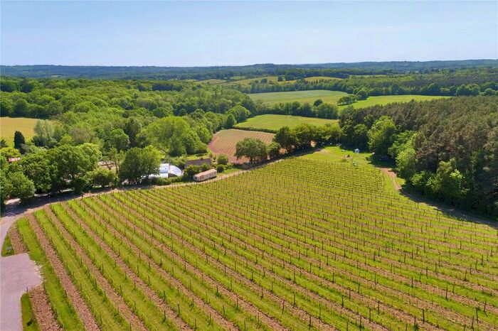 Land For Sale In Staplecross, Robertsbridge, East Sussex, TN32