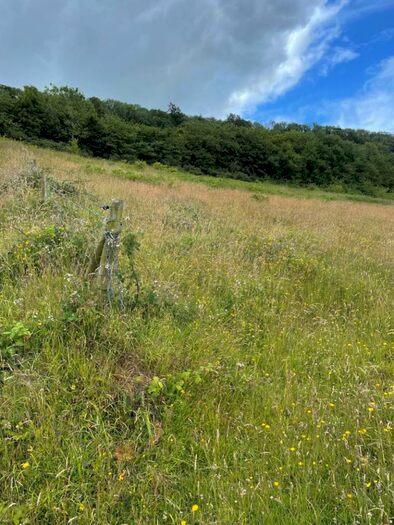 Land For Sale In Land & Stables At Clevedon Lane, Clevedon, North Som., BS21