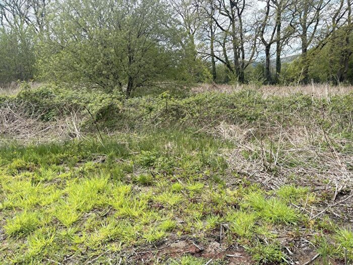 Land For Sale In Cilycwm, Llandovery, Carmarthenshire., SA20