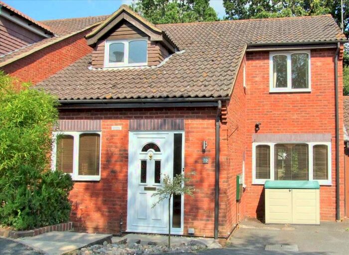 3 Bedroom Detached House To Rent In Camelot Close, Southwater, Horsham, RH13