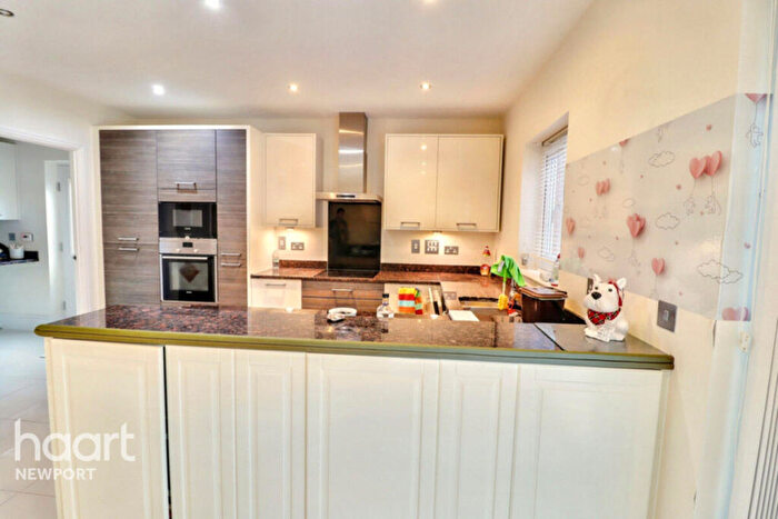 4 Bedroom Detached House For Sale In Tamar Valley Close, Newport, NP20