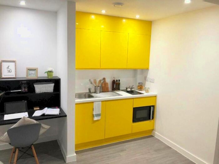 Studio To Rent In Royal Riverside, Priestley Street, S2