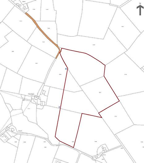 Land For Sale In Land At Rhydlweis, Brynhoffnant, Llandysul, Ceredigion, SA44