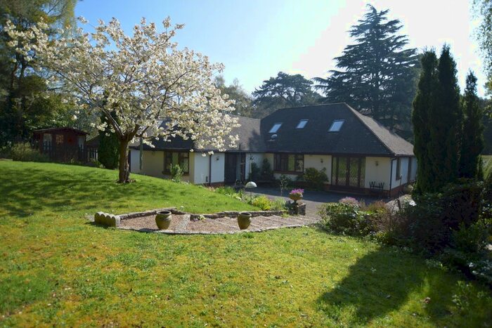 5 Bedroom Bungalow To Rent In Lindsay Road, Branksome Park, Poole, BH13
