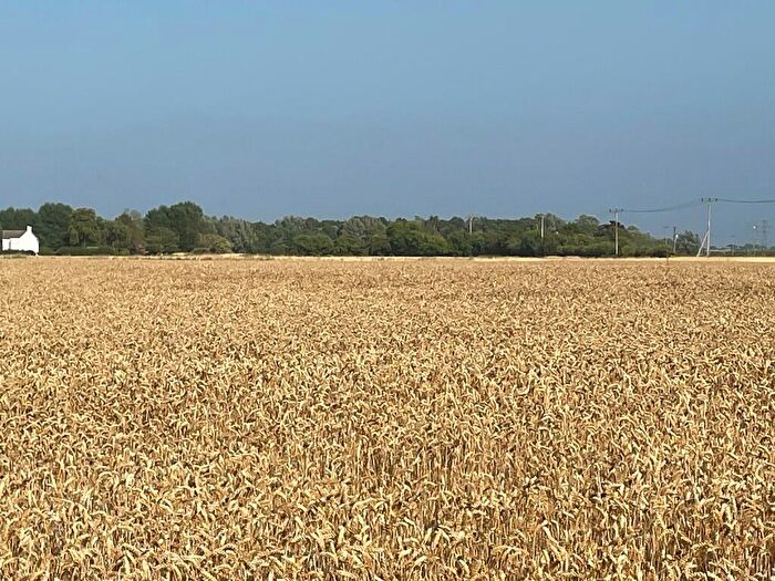 Farm Land For Sale In Land For Sale At Ravens Bank And Stoton's Gate, Holbeach Fen, PE12