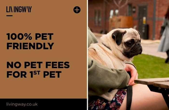 1 Bedroom Apartment To Rent In Roco, James Street, L2