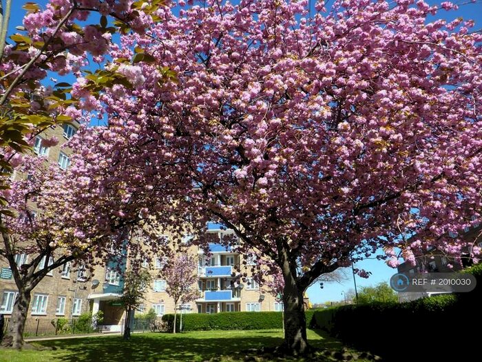 3 Bedroom Flat To Rent In Ambleside, London, NW1