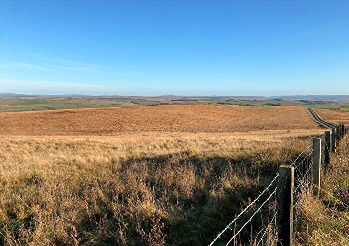 Land For Sale In Elsdon, Newcastle Upon Tyne, Northumberland, NE19