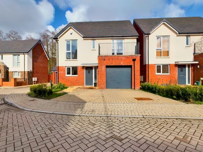 4 Bedroom Detached House To Rent In Clos Coed Collings, Sketty, Swansea, SA2