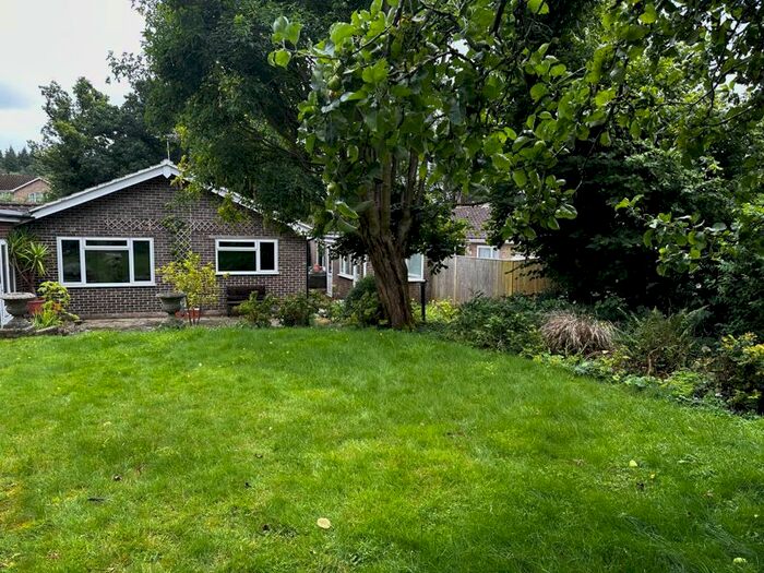 3 Bedroom Bungalow To Rent In Ragged Appleshaw, Andover, SP11