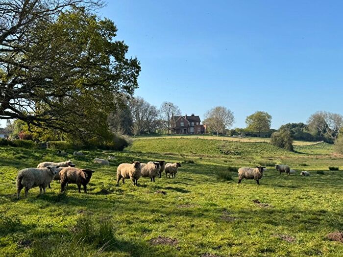 Land For Sale In Knowle Meadow, . Acres Of Meadow And Pasture Land, Mincingfield Lane, SO32