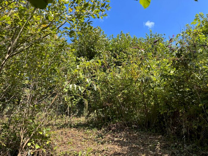 Land For Sale In Loddiswell, Kingsbridge, TQ7
