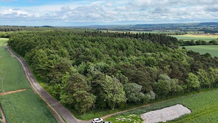 Land For Sale In Riggs Head, Scarborough, YO12