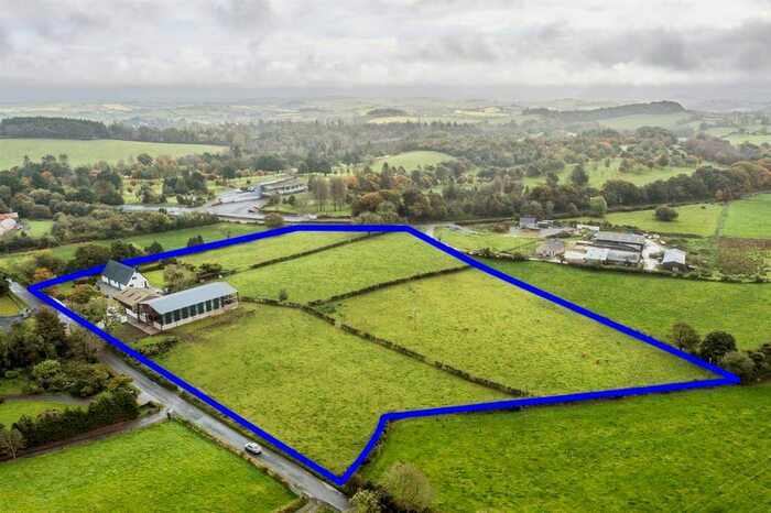 Land To Rent In Dromara Road, Ballynahinch, BT24