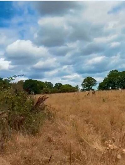 Land For Sale In Pigbush Lane, Loxwood, RH14