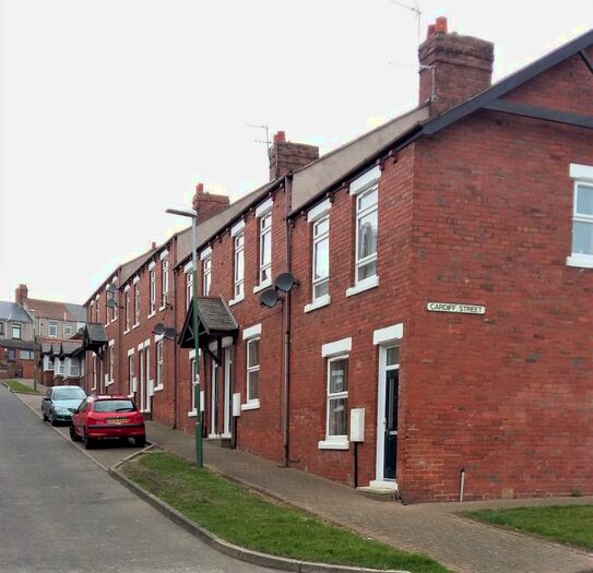 3 Bedroom Terraced House To Rent In Cardiff Street, Peterlee, County Durham, SR8