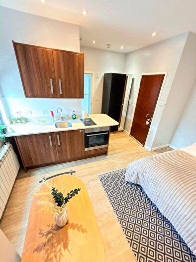 1 Bedroom Studio To Rent In Ferndale Road, London, N15